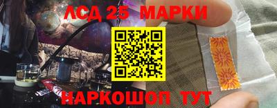 apvp Славгород