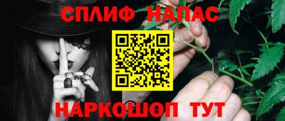 apvp Славгород