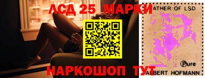 apvp Славгород